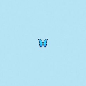 Meet your Posher, Khamri